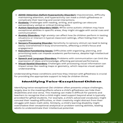 Gifted 101 Series: Understanding Twice-Exceptional (2e) Students