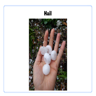 Florida 5th Grade Science Simulation: SC.5.E.7.3 & SC.5.E.7.4 – Weather & Precipitation