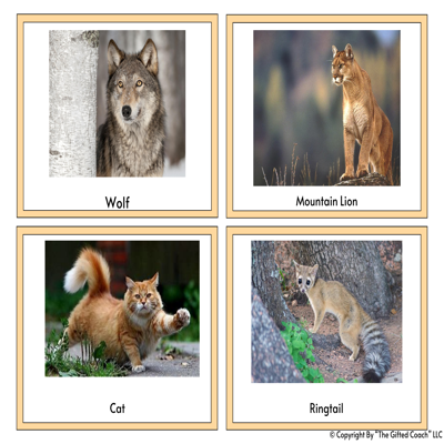 FL 5th Grade Science Simulation: Environmental Change Effects (SC.5.L.15.1)