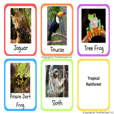 FL 5th Grade Science Simulation: Animal & Plant Adaptations (SC.5.L.17.1)