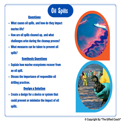 Environmental Disaster “HOT” Cards for Elementary Gifted Students