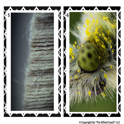 8 Sets of Critical Thinking Task Cards 🧠✨